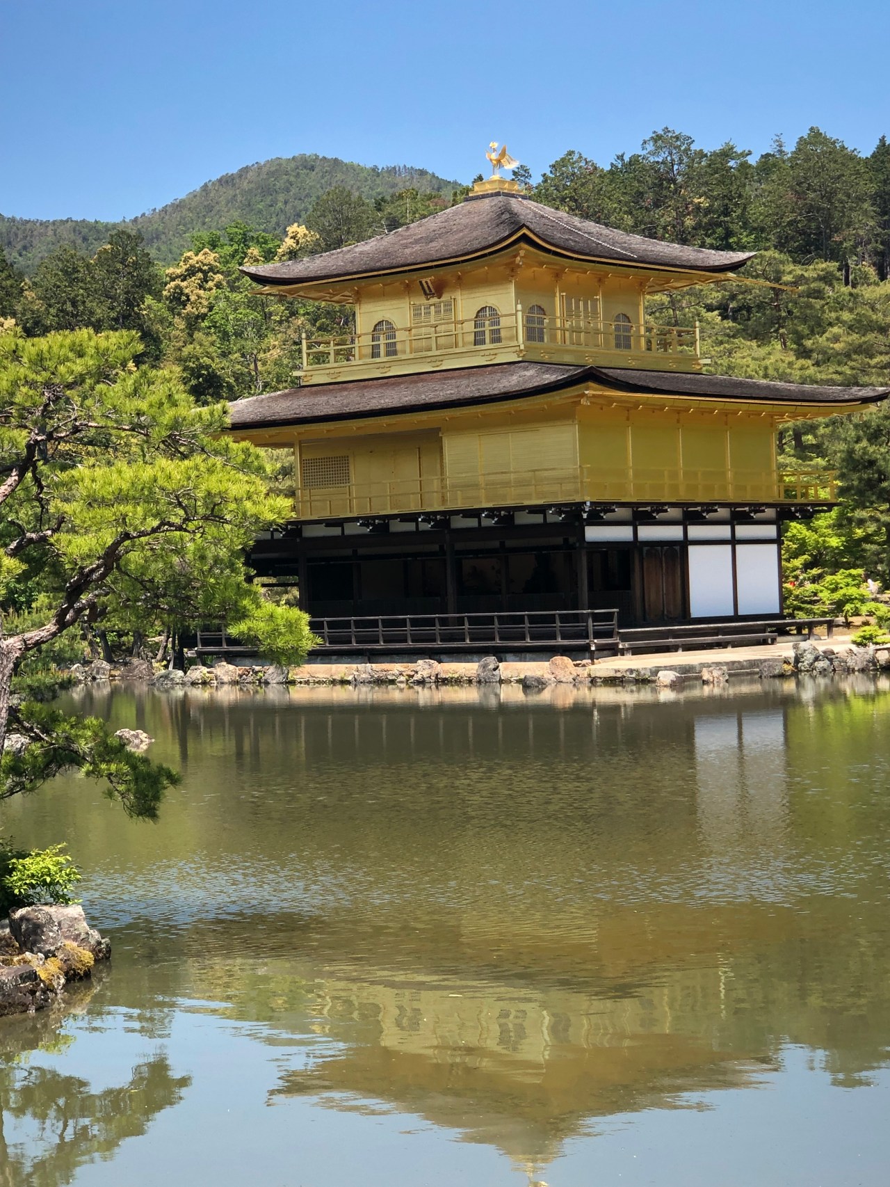 Wednesday, May 8,&nbsp;Kyoto/Shiga