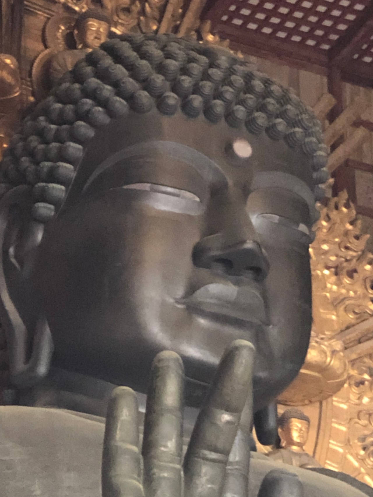 Thursday, May 9,&nbsp;Nara/Kobe